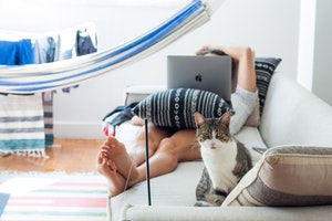 stock image of man laying on couch with pillow on lap holding up laptop with cat sitting on end of couch looking at camera